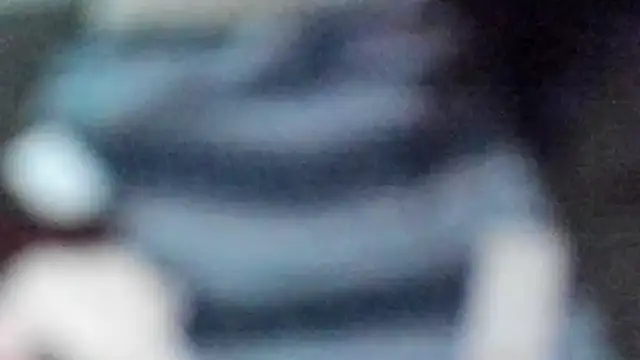 tomfork webcam