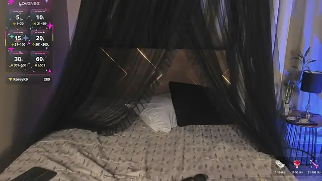 Amy_art webcam