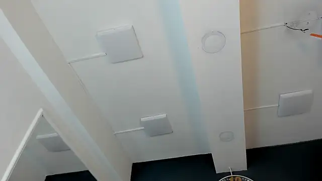 Robin_Rief webcam