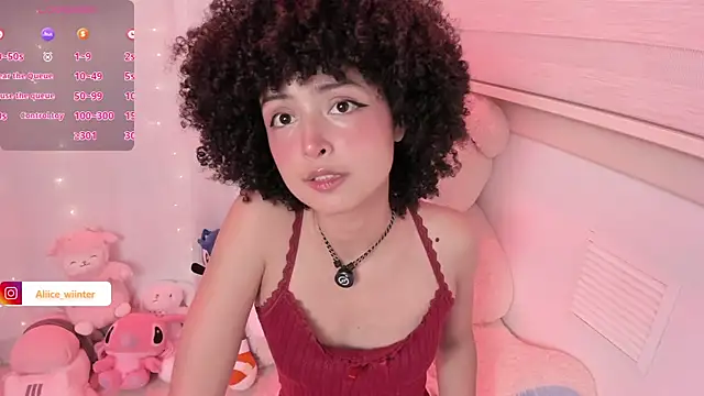 Alice_winter_ webcam