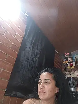 Alexandrina webcam
