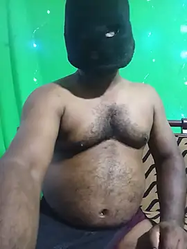 Hiptonos webcam