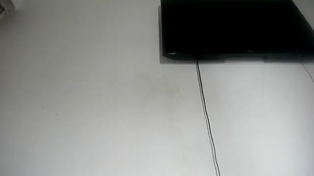 Fox_Loves