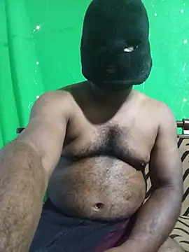 Hiptonos webcam