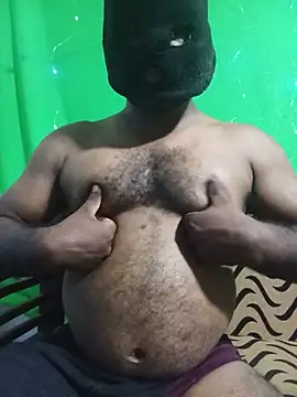 Hiptonos webcam