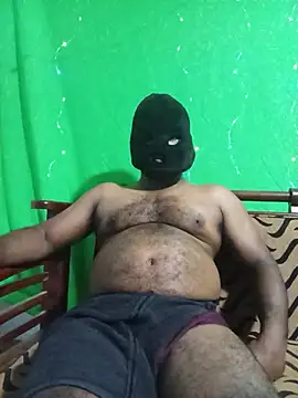 Hiptonos webcam