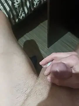 Ari9-12 webcam