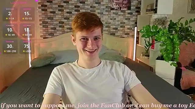 Allert_ webcam