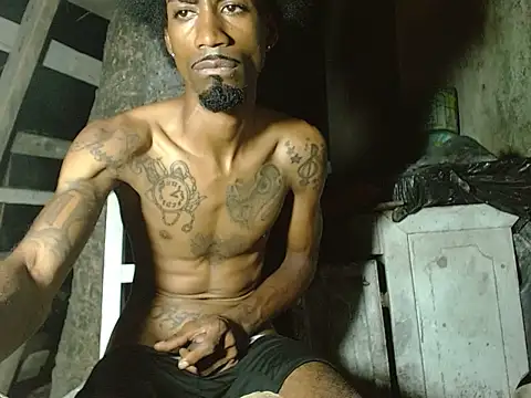 soypleve webcam