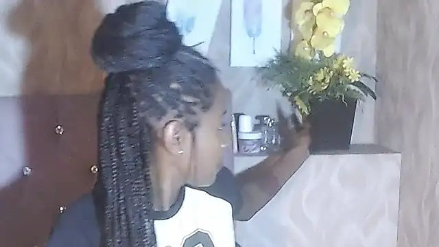 Blesiniha webcam