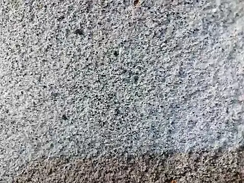 bellacrespalatina webcam