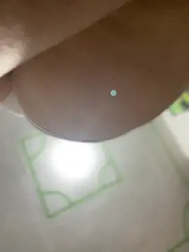 Abby-LS webcam