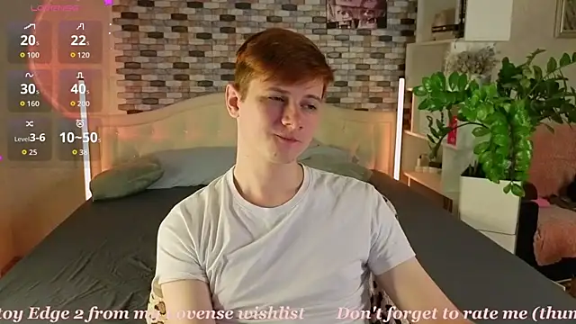 Allert_ webcam