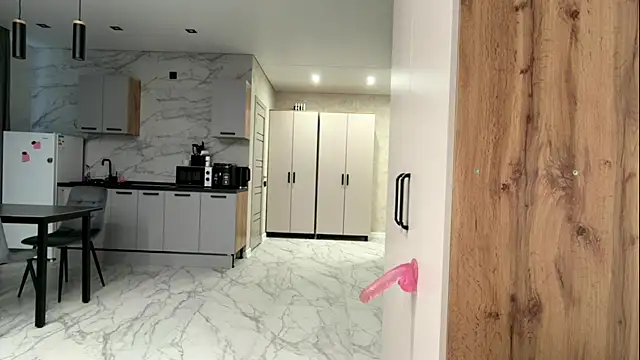 ZenZestX webcam