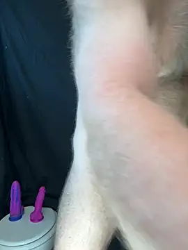 Toy_Gunn webcam