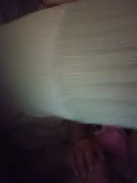 polaquinho369 live cam on StripChat