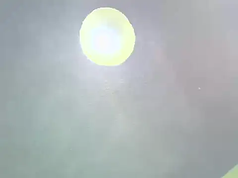 lavendasugar webcam