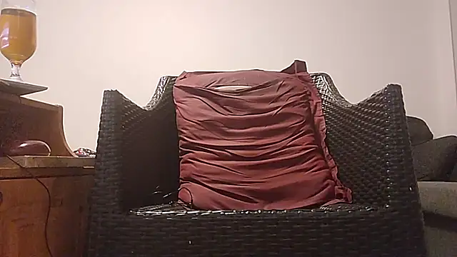 Tyyson03 webcam