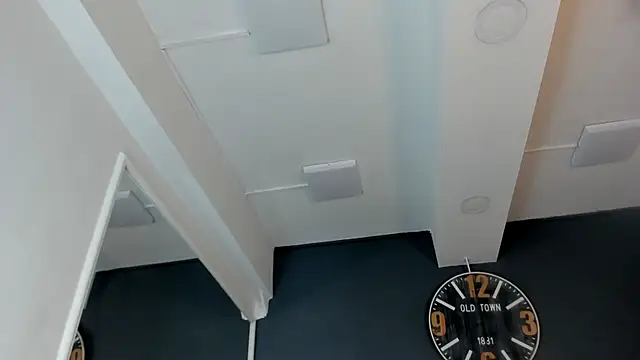 Robin_Rief webcam