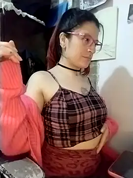 _Alaskamisa webcam