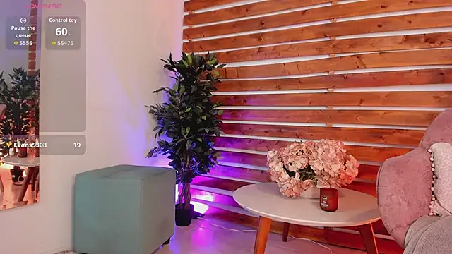 H_Williams webcam