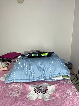 sandylau webcam