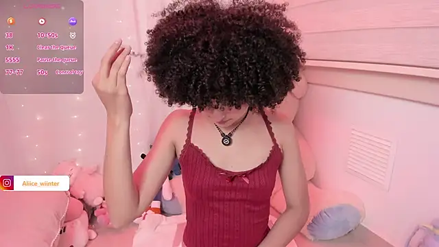 Alice_winter_ webcam