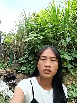 Hoa-tuylip
