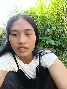 Hoa-tuylip