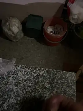 panda_206 webcam