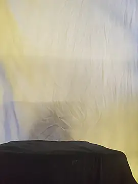 NilsonDick webcam