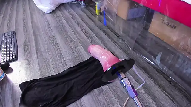 SusanCouper webcam