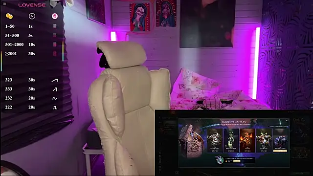 _dota2_ webcam