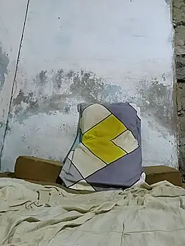 Bbklaq webcam