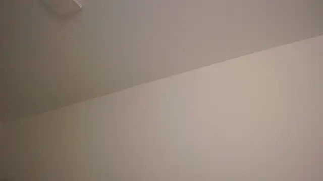 Im-kaia webcam
