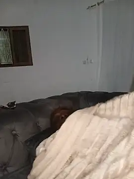 WaiterZim webcam