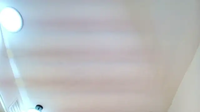 Iris_faster webcam