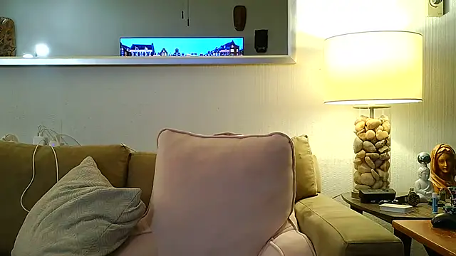 Check-Mate webcam