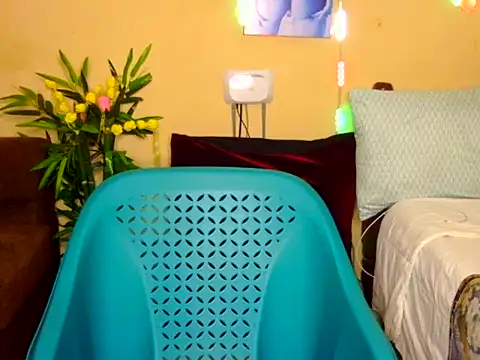Savourni webcam