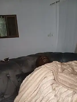 WaiterZim webcam