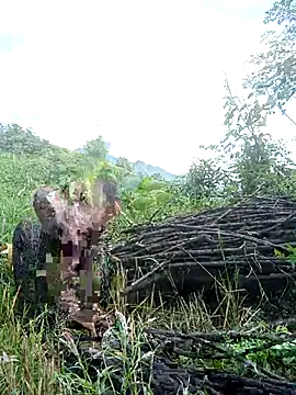 Ruaiuoi webcam