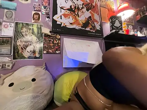 saidyl webcam