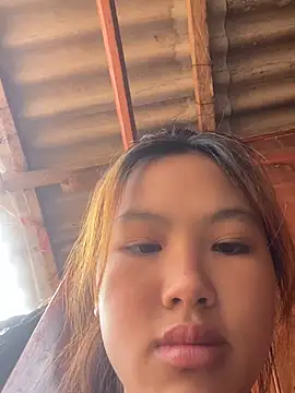 hoa_mai webcam