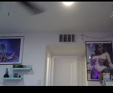 TheRealMrDLlong webcam