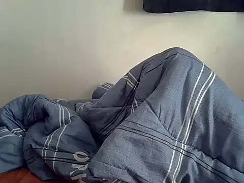 zelyp webcam
