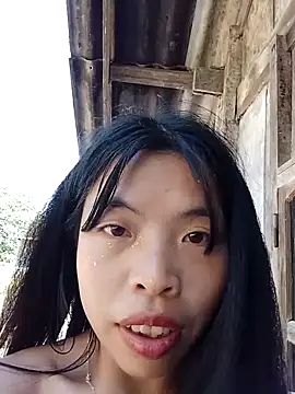 Hikomy- webcam