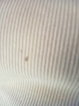 Lee_Mai webcam
