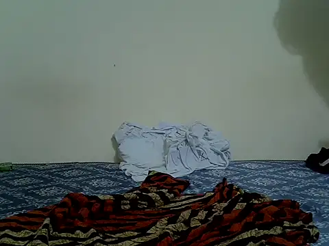 Creamy_ray_ webcam
