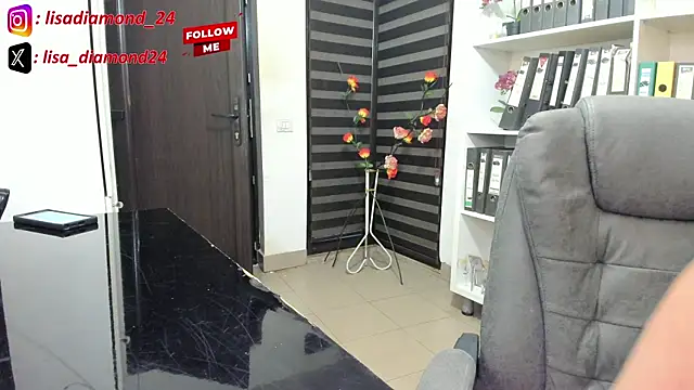 lisa2018 webcam