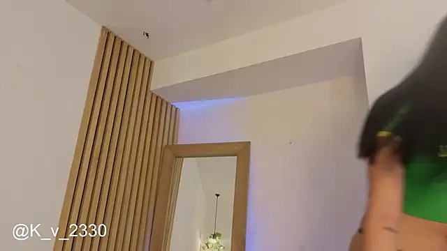 sofiesoft webcam